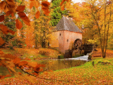 image-a-la-une-de-joli-paysage-en-automne